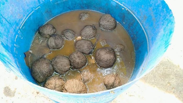 ভোটের আগে ফের খবরে ভাঙড়