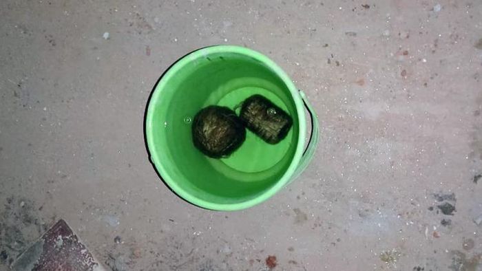 শিলিগুড়ির ইস্টার্ন বাইপাসে মুদি দোকান থেকে তাজা বোমা উদ্ধার করা হয়েছে। ছবি: জয়দীপ বাগ