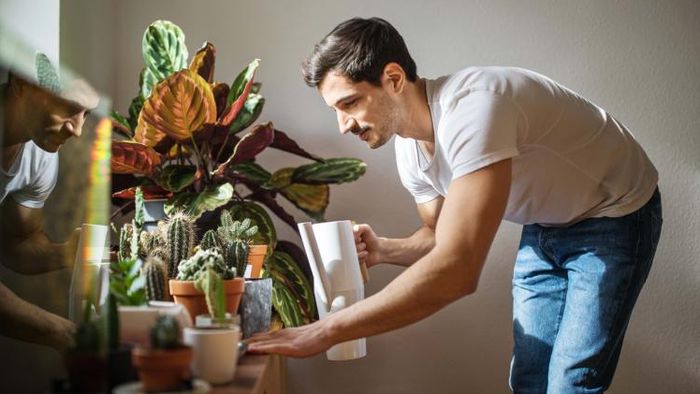 মন খারাপে মুড চেঞ্জার হিসাবে কাজ করতে পারে 'গার্ডেনিং'