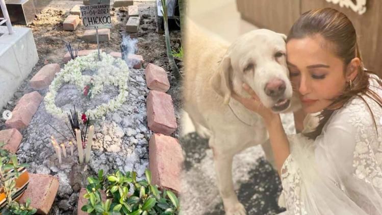 চিকুর সঙ্গে মিমি