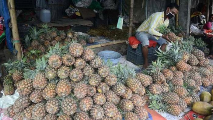 উত্তরবঙ্গে আনারস ব্যবসা। ছবি- আজ তক