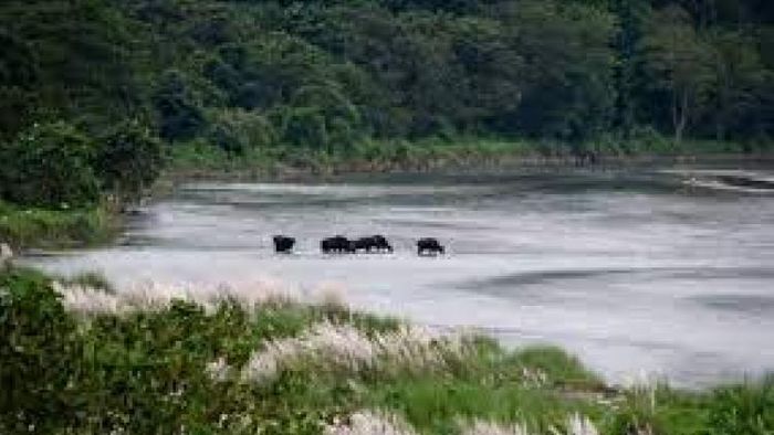 ডুয়ার্স নিয়েই যত আলোচনা