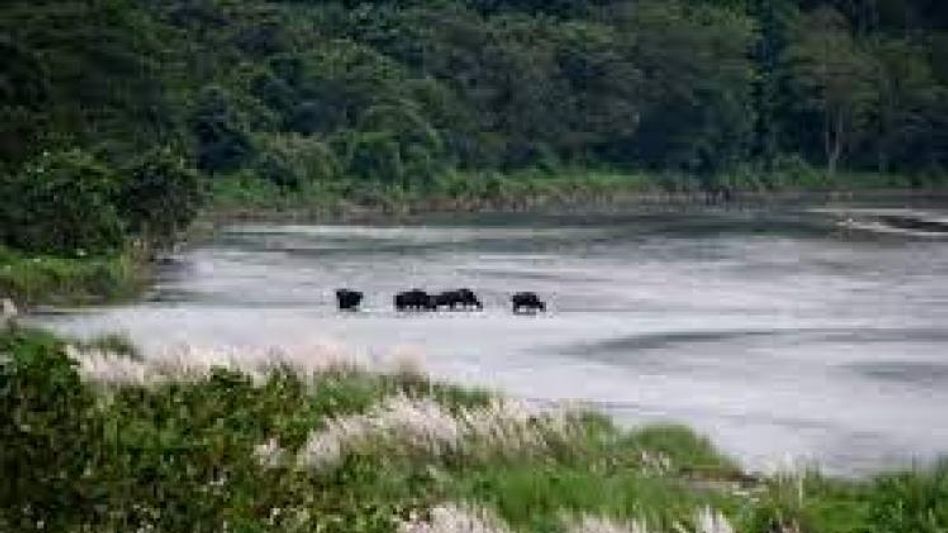 বিজেপির উত্তরবঙ্গকে পৃথক রাজ্য করার দাবি সোশ্যাল মিডিয়ায় বিজেপির উত্তরবঙ্গকে পৃথক রাজ্য করার দাবি সোশ্যাল মিডিয়ায়