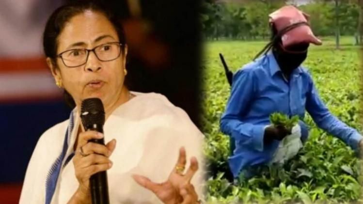 চা বাগানের জন্য ঢেলে দিলেও মমতার অধরাই চায়ের স্বাদ