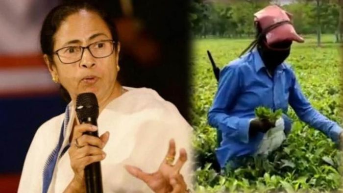 চায়ের স্বাদ অধরাই