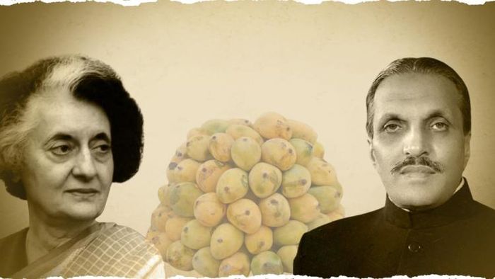 আম তুমি কার?