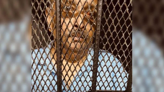 মেহুল চোকসি