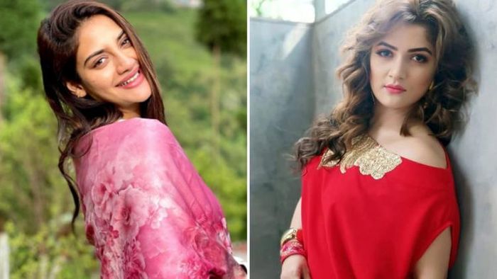 বিনোদনের খবর