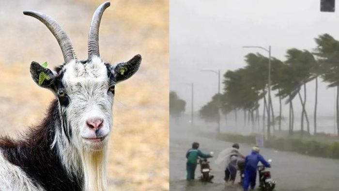 বিচিত্র আবেদনপত্র