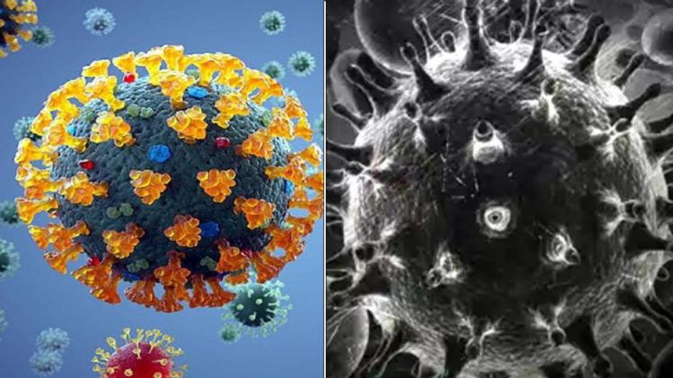 করোনা-ব্ল্যাক ফাঙ্গাসের মাঝেই ব্যাপক বর্ষণ, মানবদেহে এর কী প্রভাব? করোনা-ব্ল্যাক ফাঙ্গাসের মাঝেই ব্যাপক বর্ষণ, মানবদেহে এর কী প্রভাব?