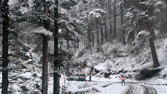 পুজোর পর গেলে এ দৃশ্যের দেখাও মিলতে পারে