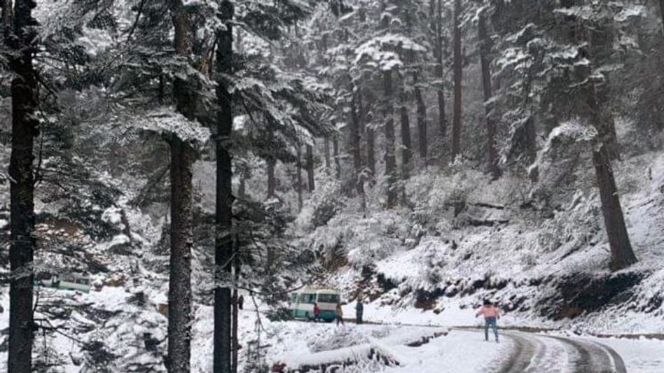 পুজোর বুকিং চান পর্যটকরা, এখনই রাজি নয় সংস্থাগুলি পুজোর বুকিং চান পর্যটকরা, এখনই রাজি নয় সংস্থাগুলি