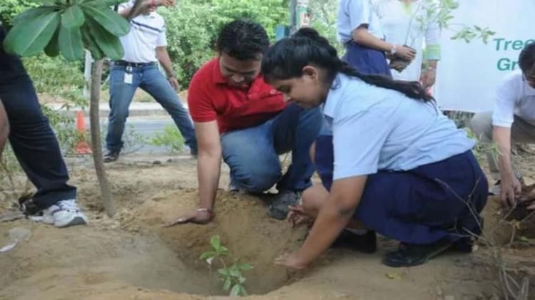 গাছ লাগালেই পরীক্ষায় বাড়তি নম্বর এই রাজ্যে