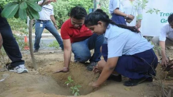 গাছ লাগালেই অতিরিক্ত নম্বর, ঘোষণা হরিয়ানার মুখ্যমন্ত্রীর