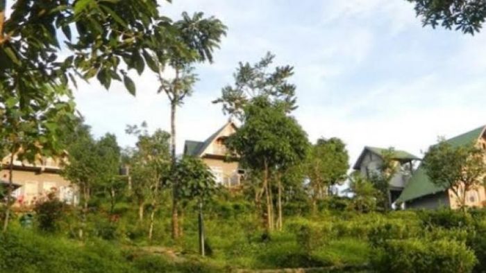 ঝাণ্ডি ফাইল ছবি