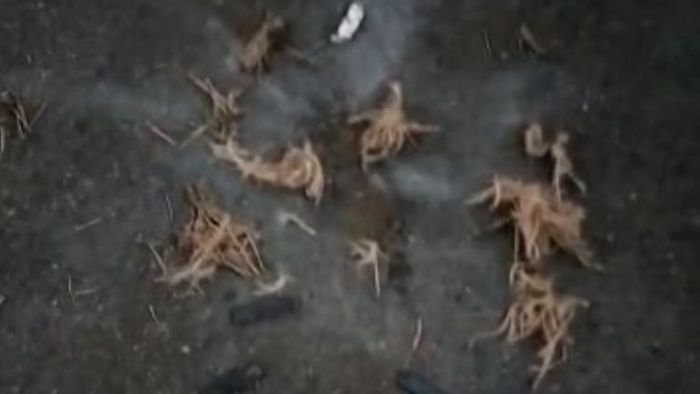 বোমা ফাটার পর পড়ে রয়েছে অবশিষ্ট