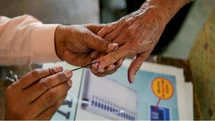 উপনির্বাচন