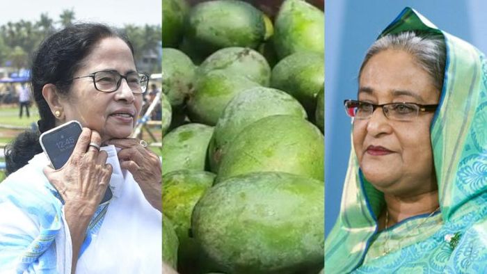 আম পাঠিয়ে বন্ধুত্ব দৃঢ় করা পুরোনো কূটনৈতিক কৌশল