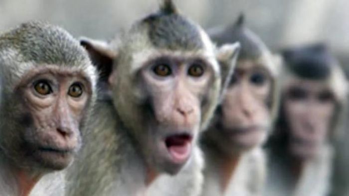 প্রতীকী ছবি