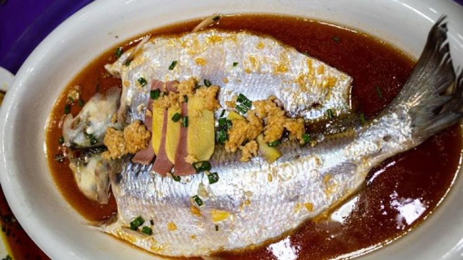 IRCTC : জালে ফেলা থেকে রান্না-খাওয়া, শুরু হচ্ছে ইলিশ পর্যটন IRCTC : জালে ফেলা থেকে রান্না-খাওয়া, শুরু হচ্ছে ইলিশ পর্যটন