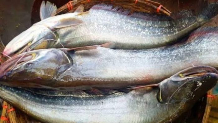 প্রতীকী ছবি