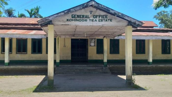 কোহিনূর চা বাগান অফিস