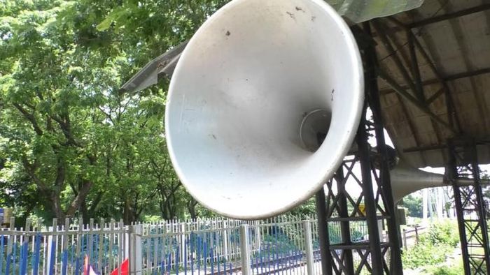 মৌমাছি থেরাপি