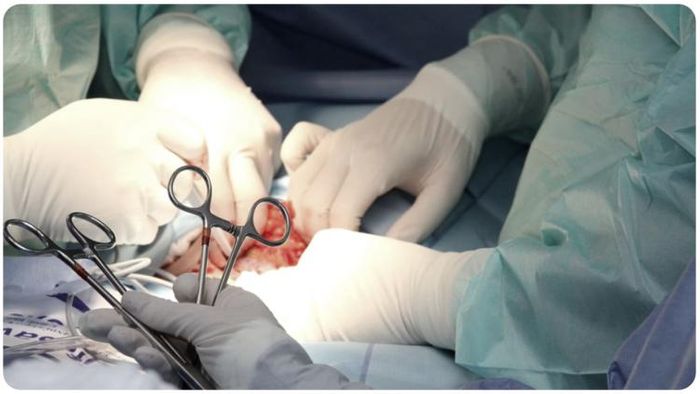 কলকাতায় জটিল অস্ত্রোপচারে ক্যান্সার-মুক্ত যুবক। —প্রতীকী ছবি।