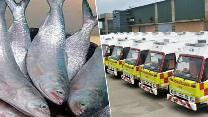 ছবি-সংগৃহীত