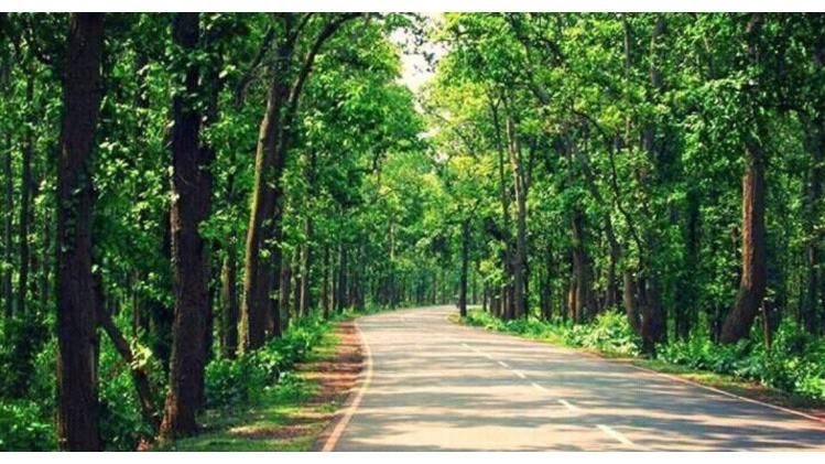 কলকাতার ইকোপার্ক জানেন, দুর্গাহুড়ি শুনেছেন? সুবর্ণরেখার ধারে জঙ্গলমহলে