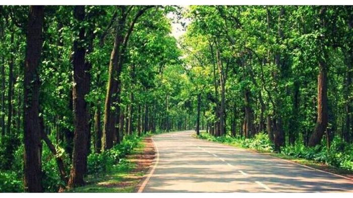 ঝাড়গ্রাম (ছবি: সোশ্যাল মিডিয়া)