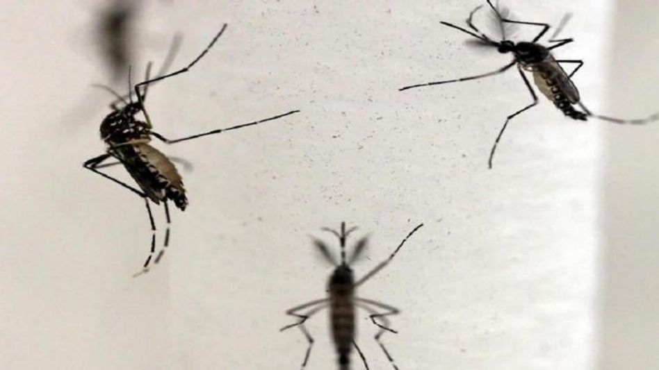 ডেঙ্গু, ম্যালেরিয়া প্রতিরোধে মশা মারতে আস্ত ট্রেন চালু রেলওয়ের ডেঙ্গু, ম্যালেরিয়া প্রতিরোধে মশা মারতে আস্ত ট্রেন চালু রেলওয়ের