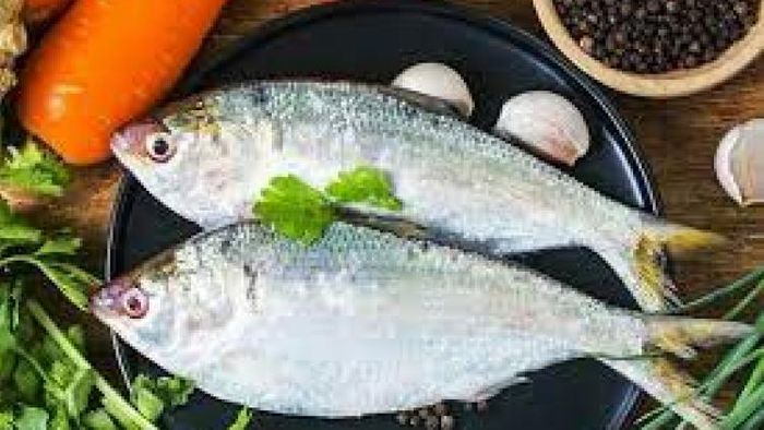 ইলিশের স্বাদে মাতাল ইউরোপ, আমেরিকা