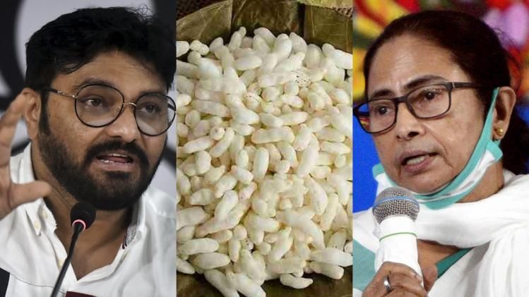 বাবুলকে এবার মুড়ি খাওয়ার পরামর্শ মমতার