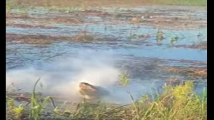 ঘটনার মুহূর্তের ছবি