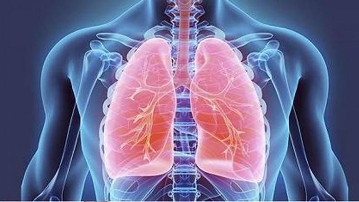 প্রতীকী ছবি