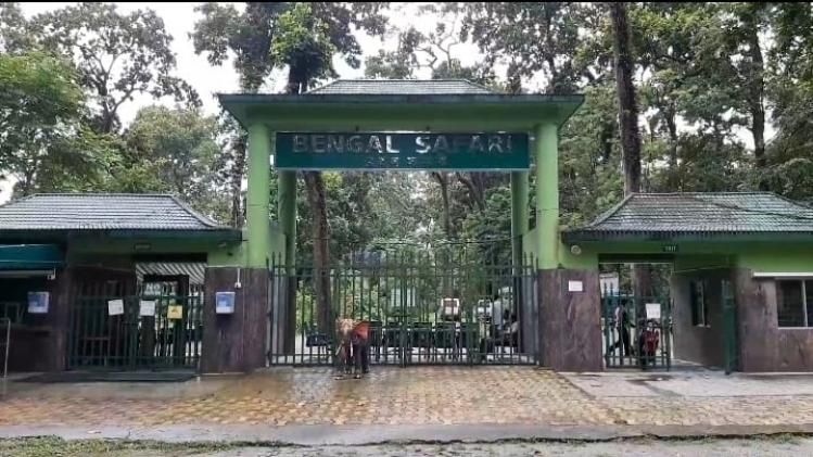 বেঙ্গল সাফারি পার্কেও তাজ্জব দর্শক! বাঘ দেখতে আসছে হাতির দল