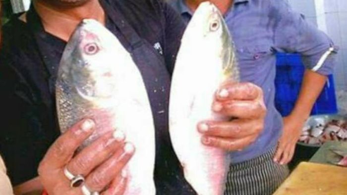 প্রতীকী ছবি