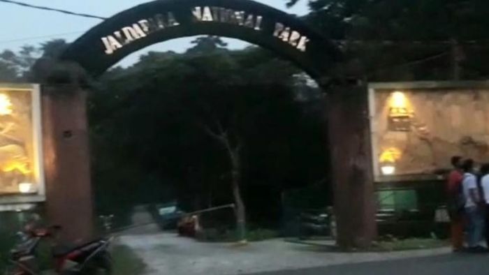 গৌতম কার্জি