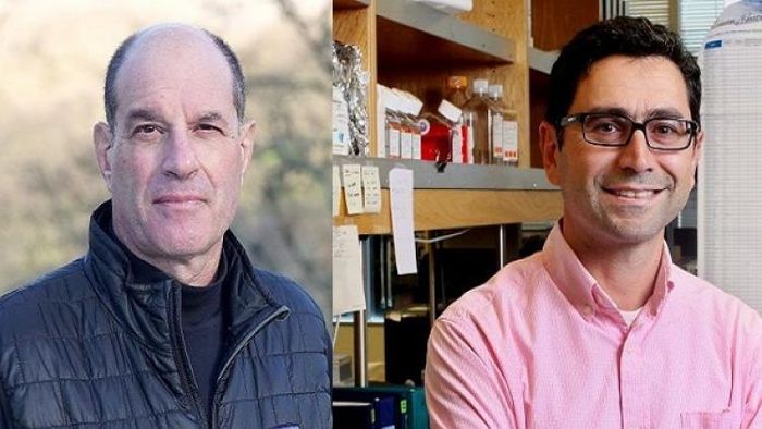 মেডিসিনে নোবেল পুরস্কার দুই বিজ্ঞানীকে দেওয়া হল