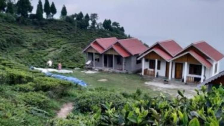 হোমস্টেতে ঝোঁক বেশি