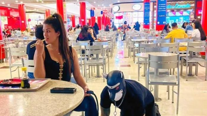 স্বামী হলেন কুকুর