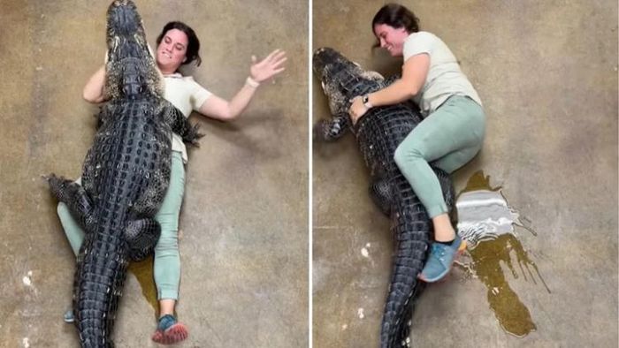 ভাইরাল ভিডিও