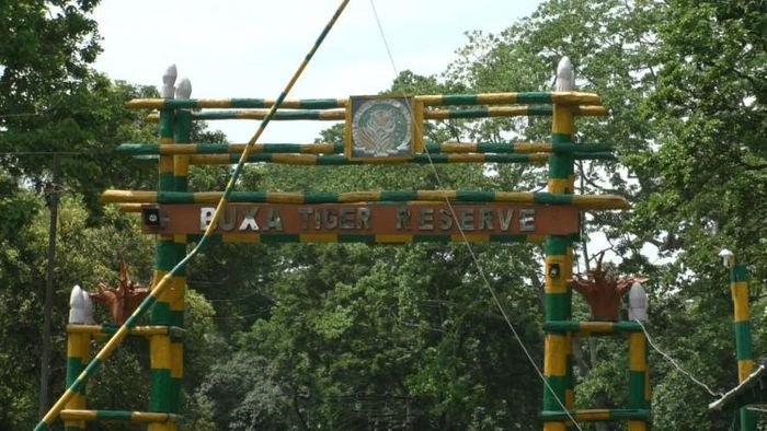 বক্সায় বাঘের খোঁজে