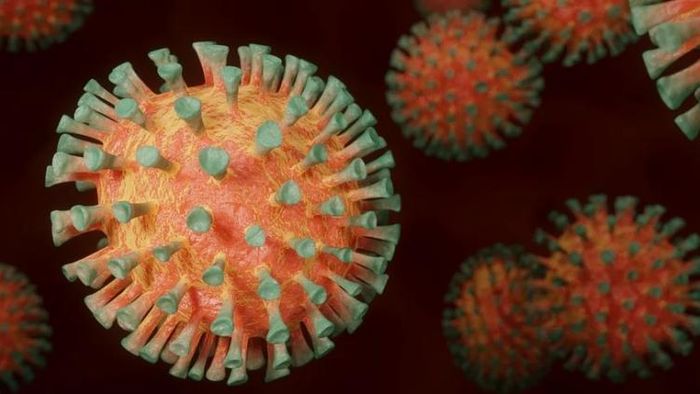 ছবিটি প্রতীকী