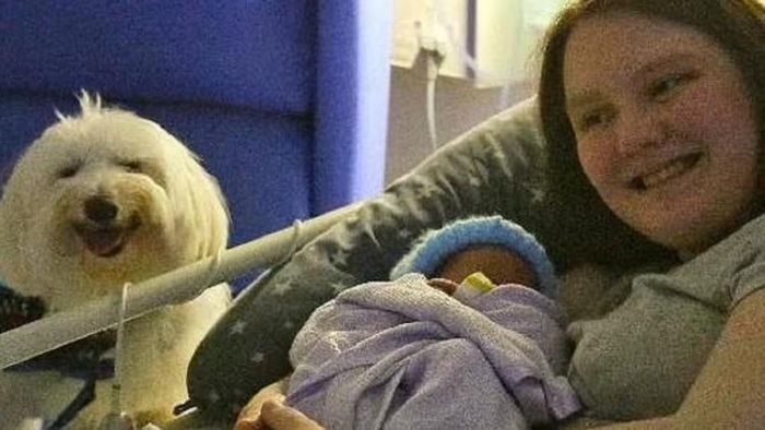 ডেলিভারি রুমে ছিল পোষ্য কুকুর। ছবি সৌজন্য: চার্লট বিয়ার্ড