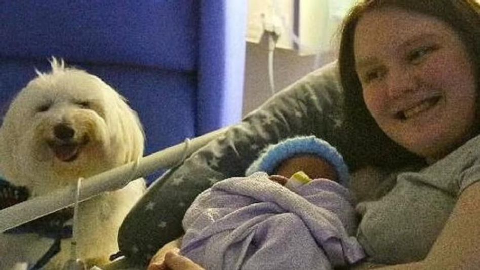 ডেলিভারি রুমে প্রেগন্যান্ট মহিলাকে সাহায্য করল কুকুর, ছবি ভাইরাল ডেলিভারি রুমে প্রেগন্যান্ট মহিলাকে সাহায্য করল কুকুর, ছবি ভাইরাল