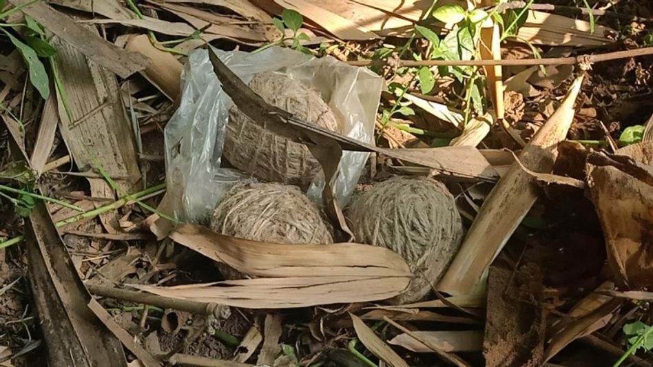চলছে ভোট, বুথের বাইরে পড়ল বোমা, আতঙ্কে ছু়টল মানুষ চলছে ভোট, বুথের বাইরে পড়ল বোমা, আতঙ্কে ছু়টল মানুষ