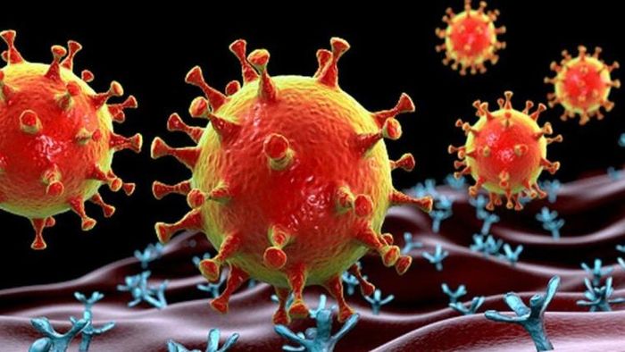 মুম্বইয়ে বাড়ছে ওমিক্রন সংক্রমণ।