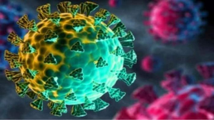 কলকাতায় ওমিক্রন আক্রান্ত আরও এক রোগীর সন্ধান মিলেছে (প্রতীকী ছবি)